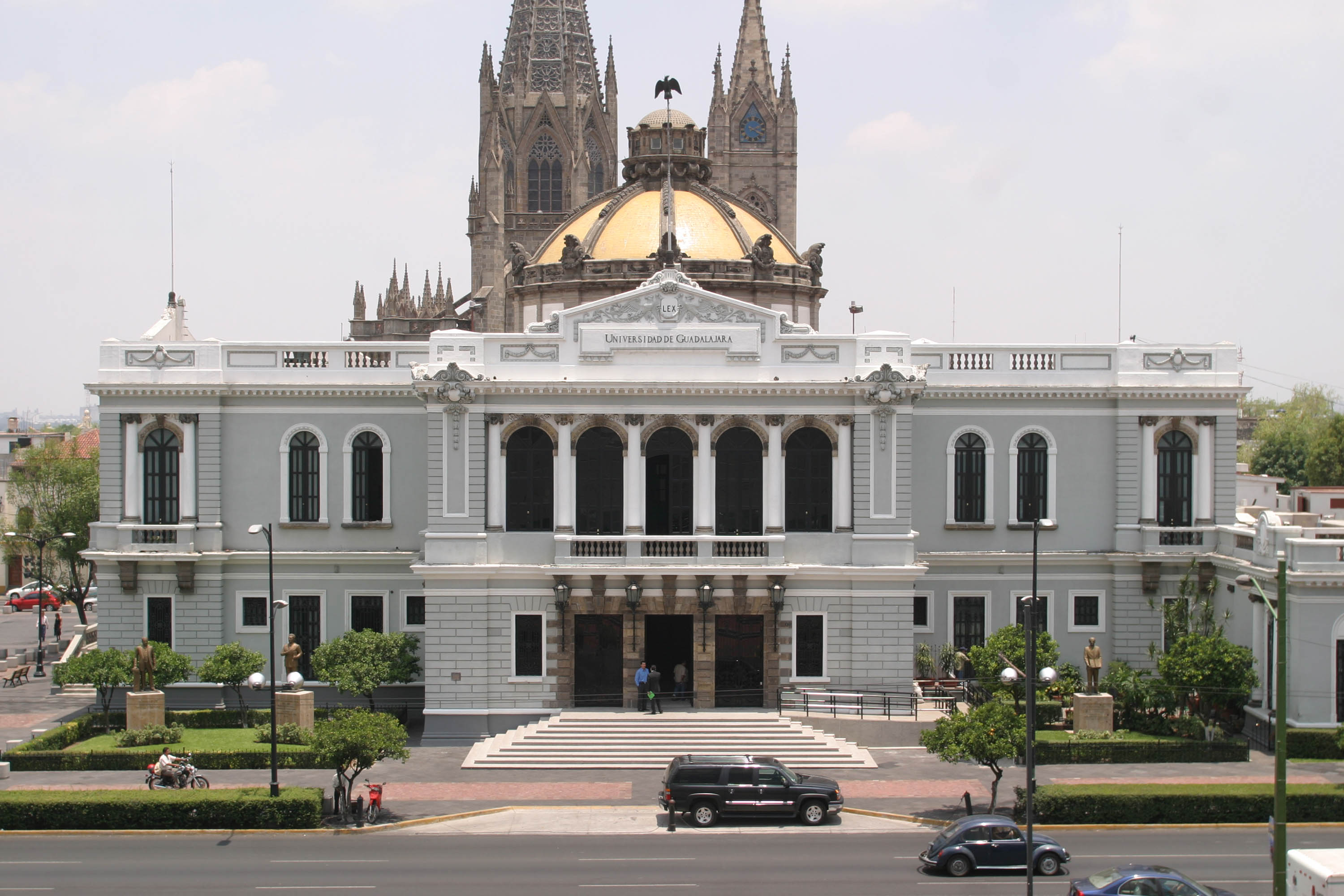 musa (1).jpg